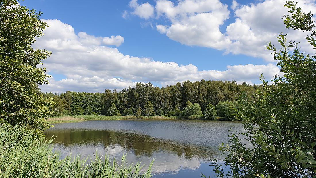 Foto: Martin Zehrer - Oase in Mitten der Oberpfalz! ;-) 