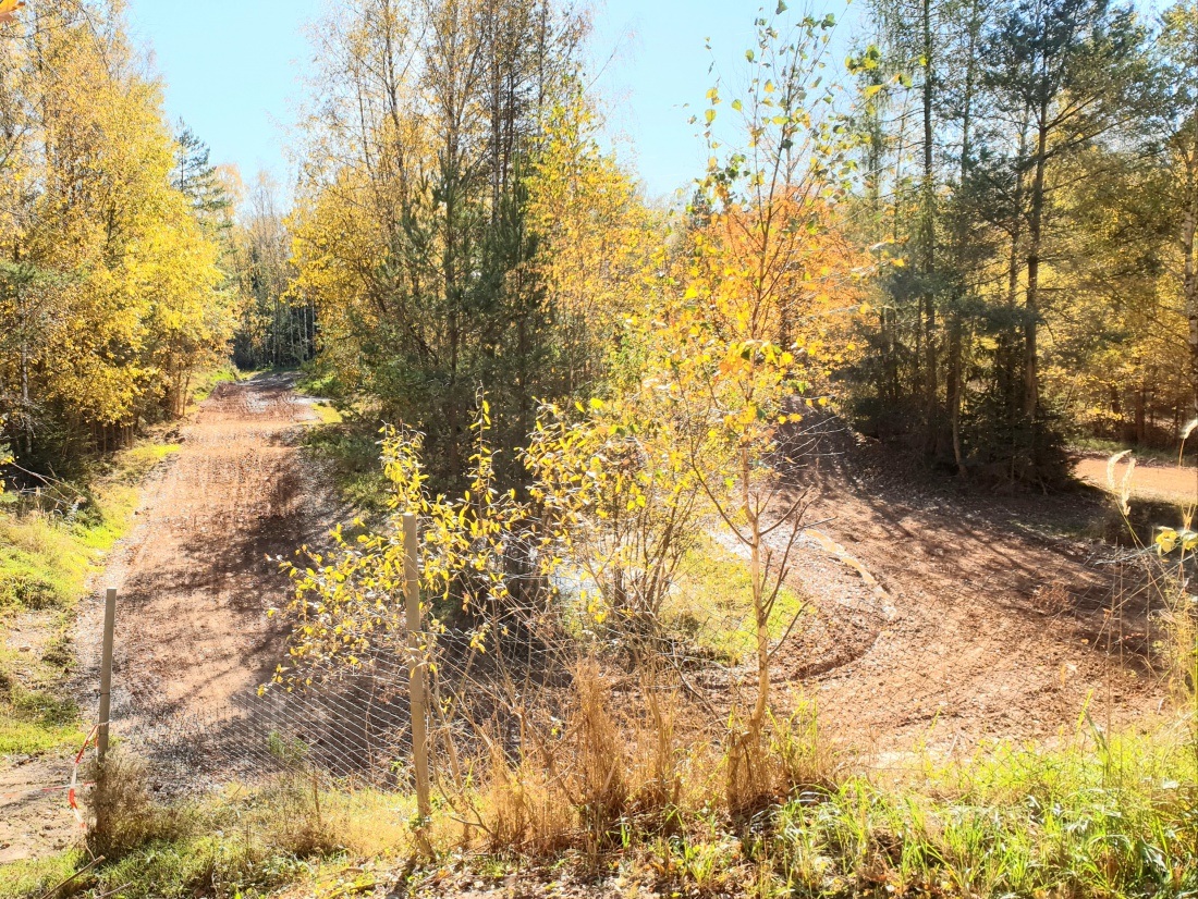 Foto: Martin Zehrer - Cross-Strecke bei Mitterteich... 