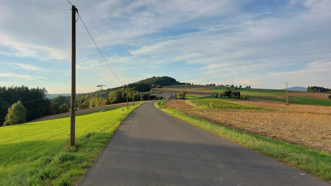 Foto: Martin Zehrer - Godas im Sommer, der Blick zum Armesberg.  