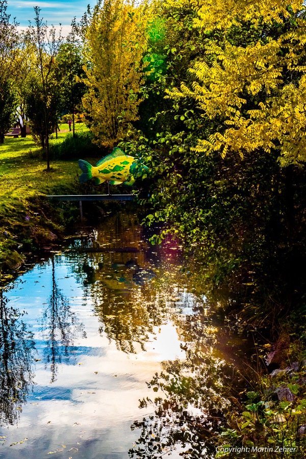 Foto: Martin Zehrer - Herbstspaziergang... wunderschöne Farben ;-) 