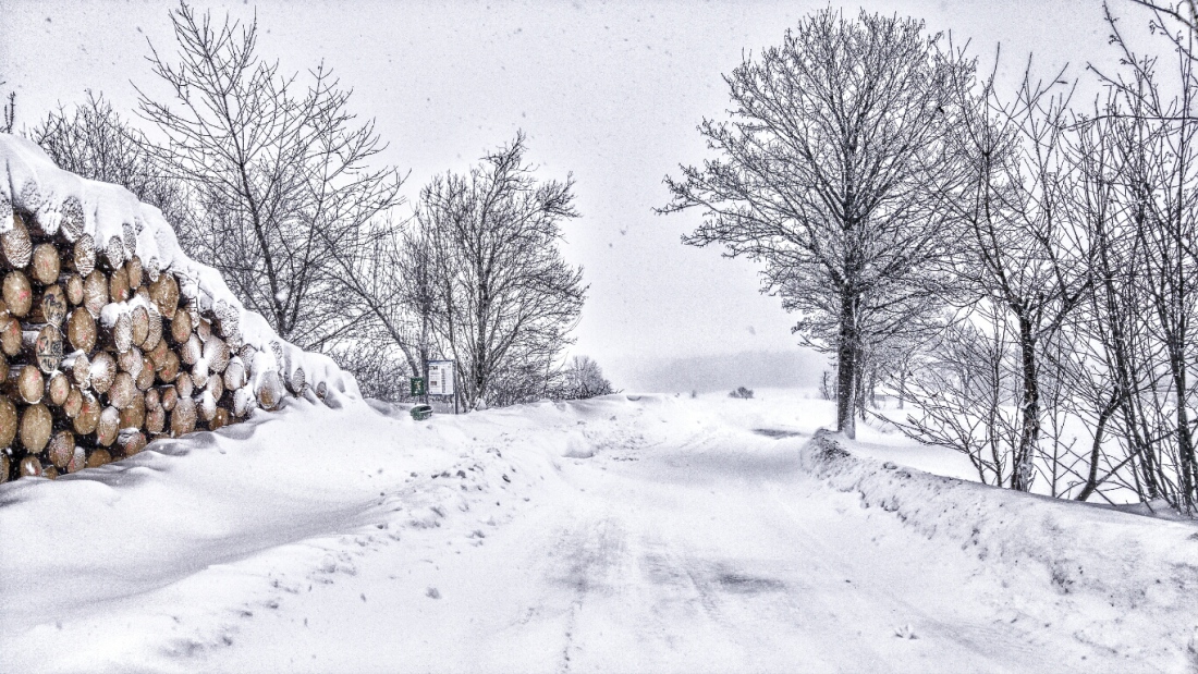 Foto: Martin Zehrer - Droben auf dem Armesberg ist richtig Winter! 3. Februar 2019 - ca. Minus 3 Grad und viel Schnee... ;-) 