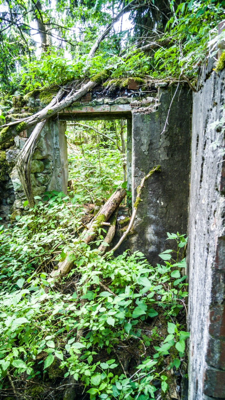 Foto: Martin Zehrer - Lost-places im Zissler-Wald zwischen Godas und Zwergau. Dieses Waldhaus brannte irgendwann Ende der 70er Anfang der 80er ab.  