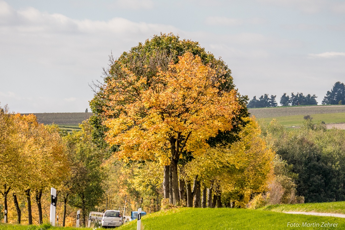 Foto: Martin Zehrer - Herbst bei Kemnath am 14. Oktober 2017 