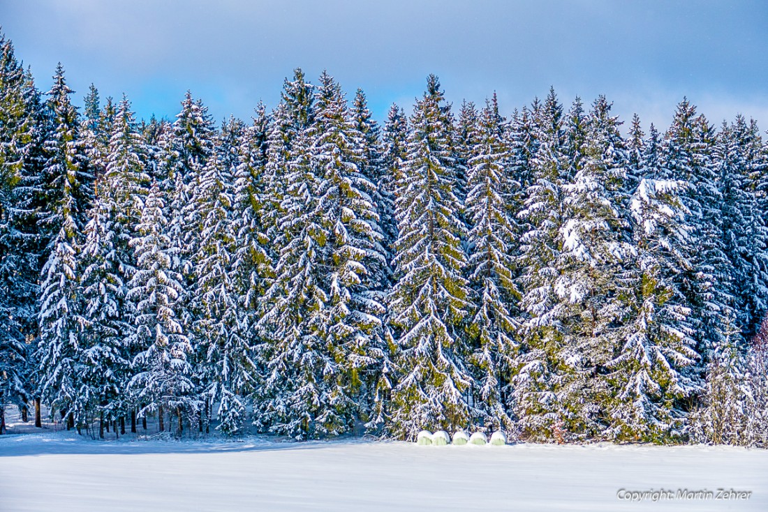 Foto: Martin Zehrer - Winterwald :-) 