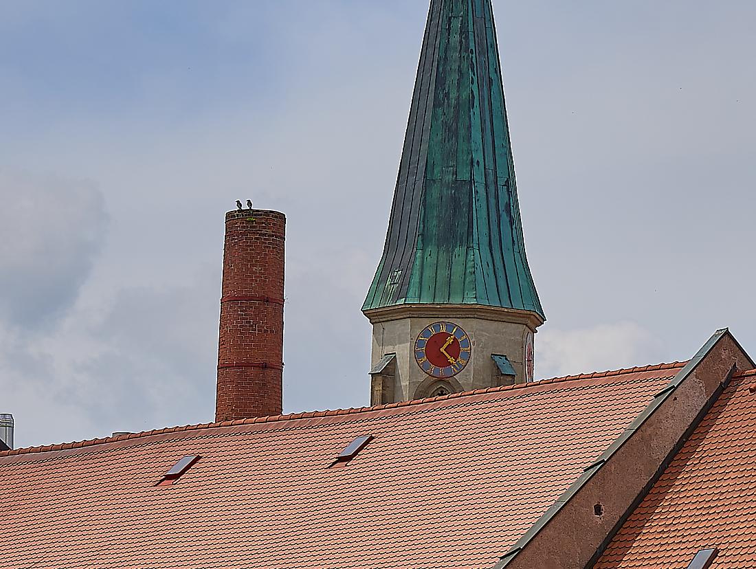 Foto: Martin Zehrer - Suchbild: Szene einer luftigen Freundschaft... :-) 