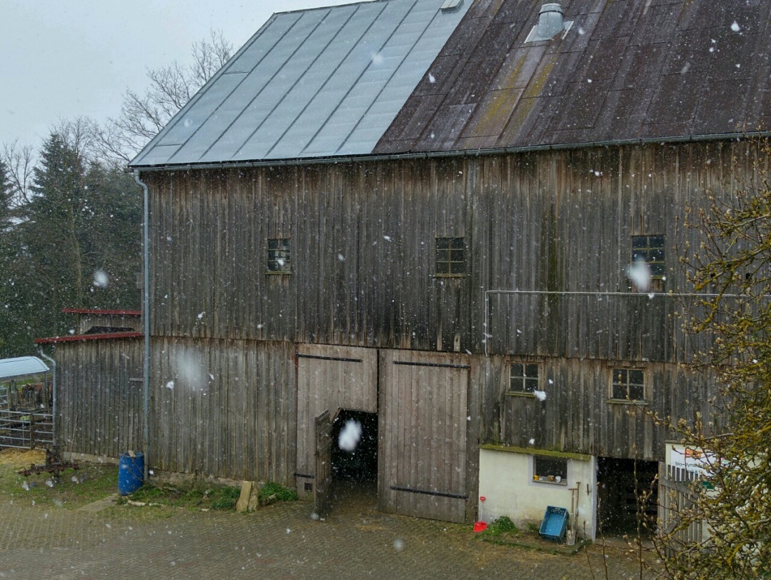 Foto: Martin Zehrer - 24. April 2016 um 16:58Uhr... Es schneit ;-) 