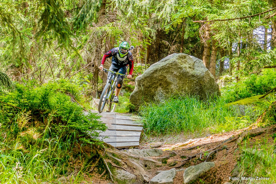 Foto: Martin Zehrer - Neben der ersten Baumplattform des Zipline-Parcours geht gleich die Downhill-Strecke der MTB-Racer mit ihren zahlreichen Hindernissen vorbei. 