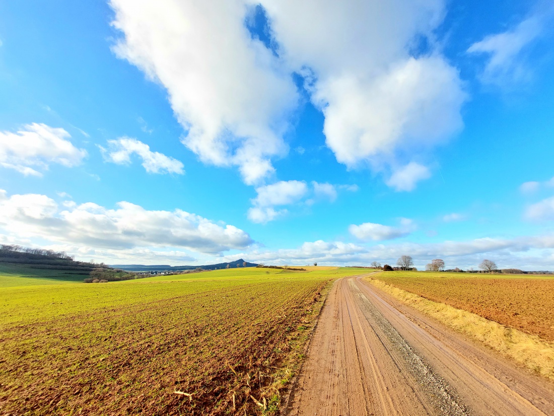 Foto: Martin Zehrer - Herrliches Sonnen-Wetter am 31. Dezember 2021 zwischen Kastl und Neuenreuth.<br />
 