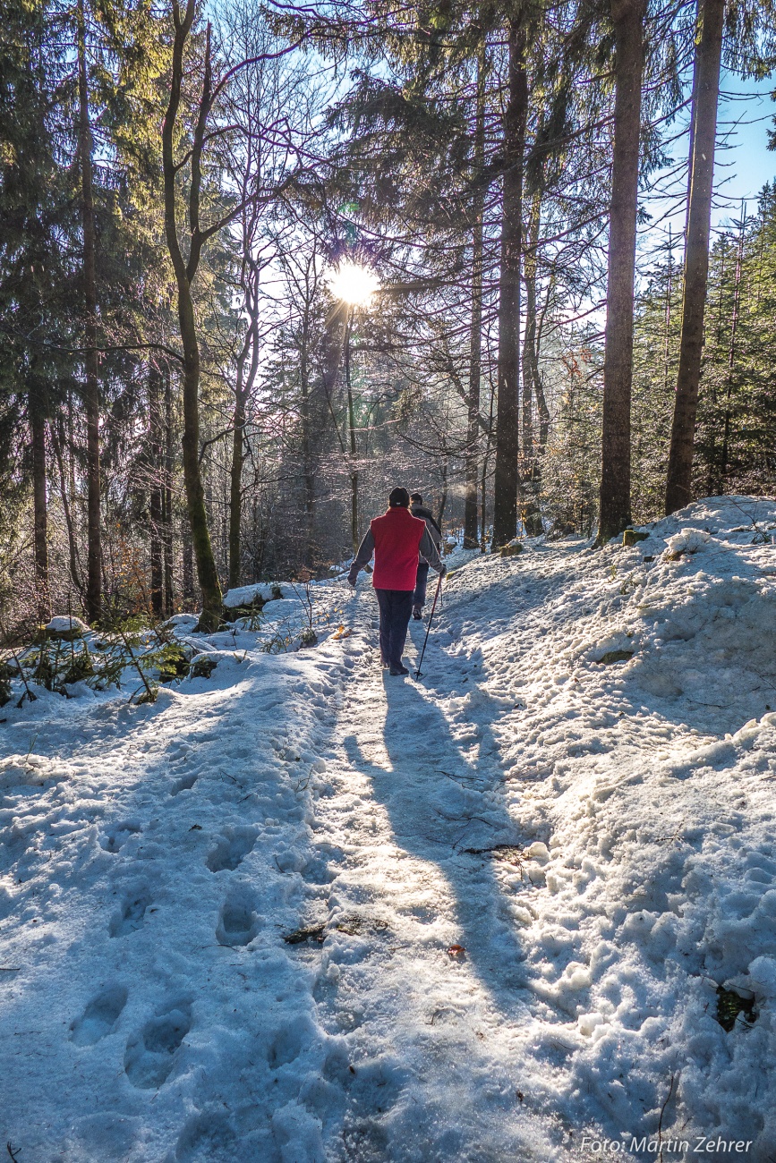 Foto: Martin Zehrer - Mit Stock über Stein und Schnee der Sonne entgegen... Winterwanderung durch den Steinwald am 26. Dezember 2017 