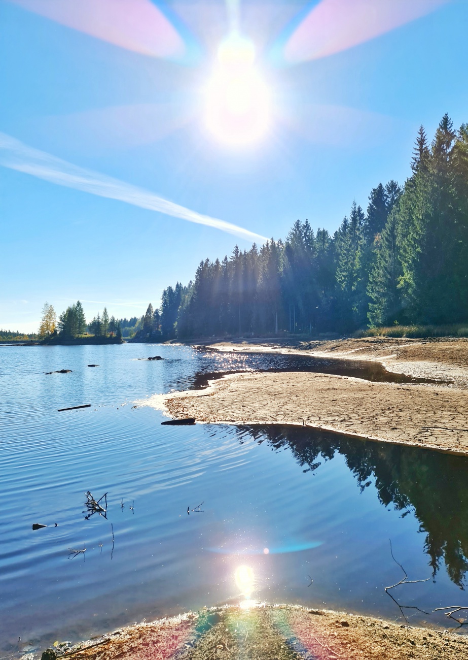 Foto: Jennifer Müller - Zuhause in Kemnath war es heute neblig und trüb. Also nichts wie raus und die Sonne suchen. Gefunden und genossen haben wir sie beim Spaziergang am Fichtelsee. 