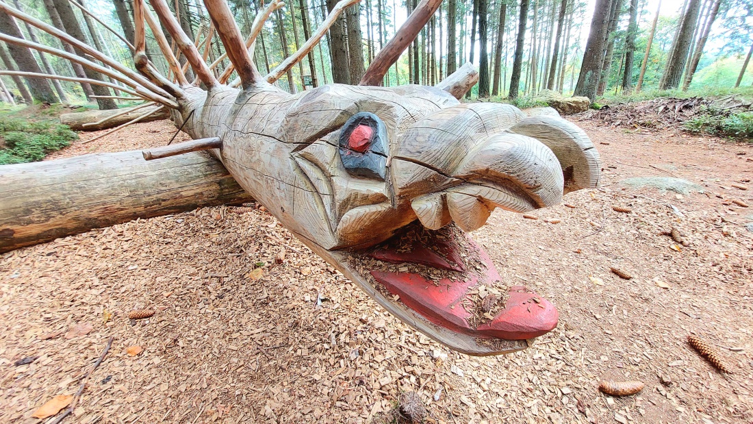 Foto: Martin Zehrer - Grausame Stachelmonster am Fichtelsee im Fichtelgebirge... 