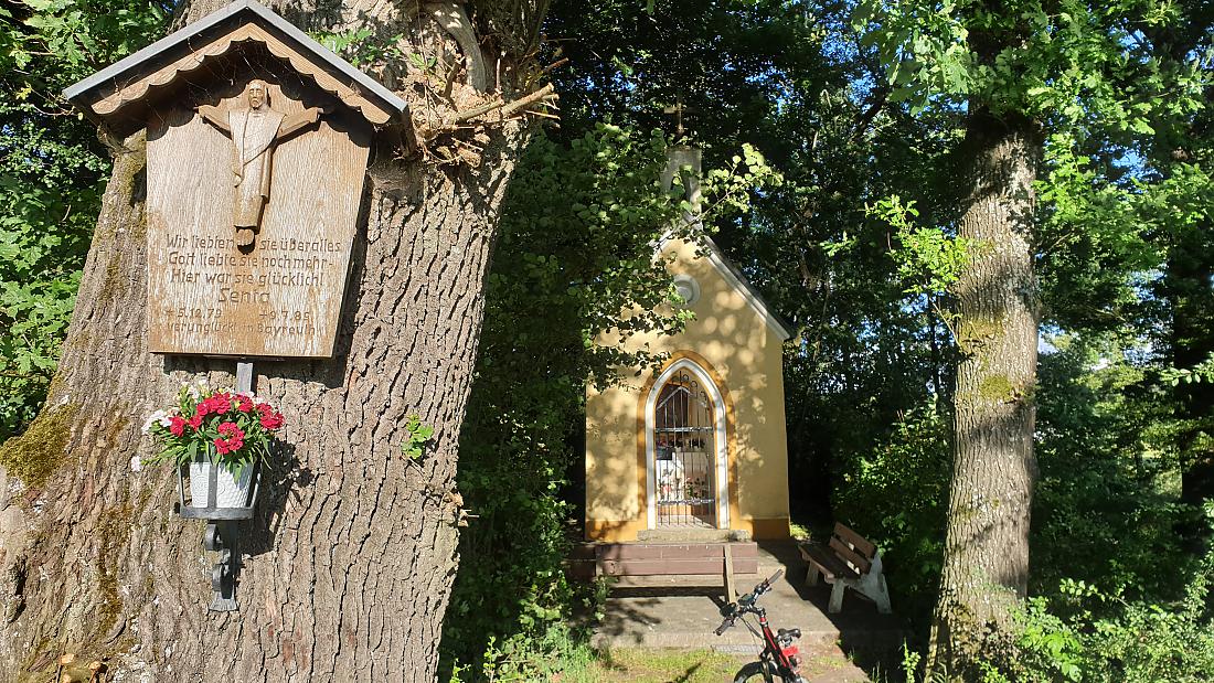 Foto: Martin Zehrer - Welch wunderschöne Plätzchen es bei uns gibt... <br />
Kaibitz, 5. Juli 2020 