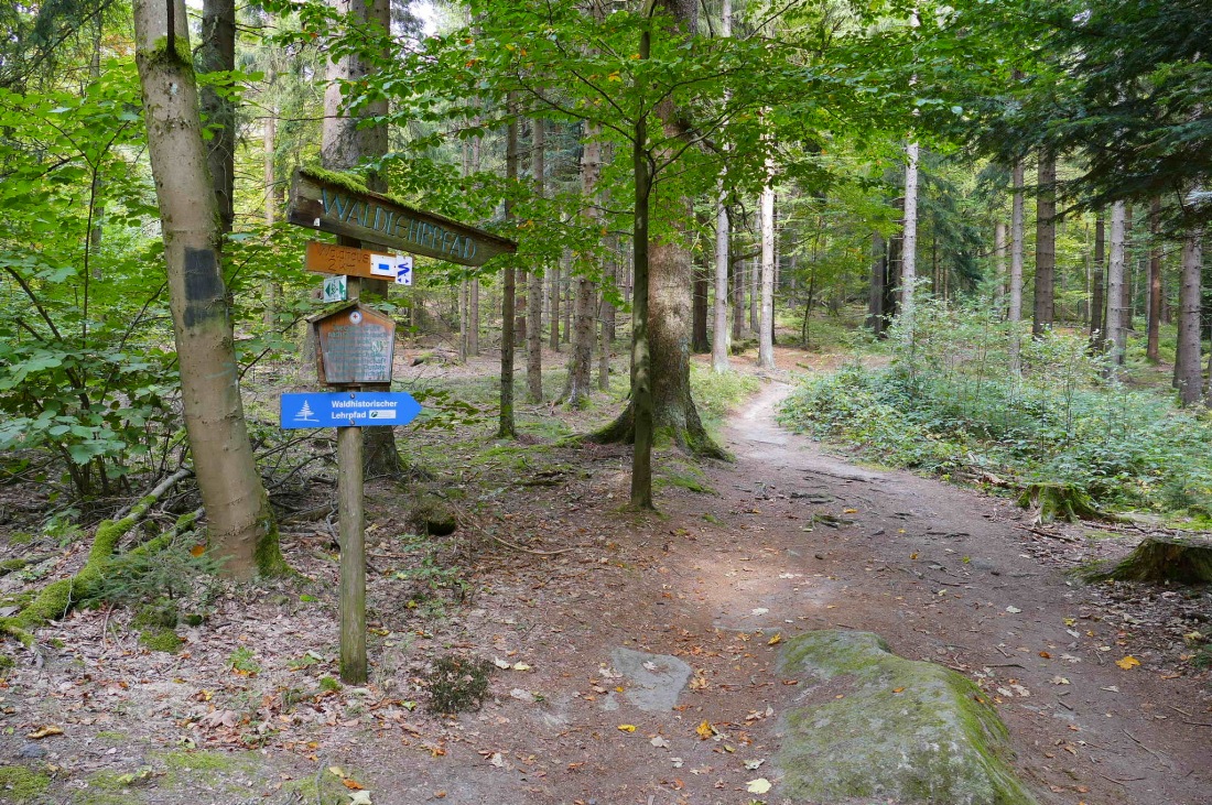 Foto: Martin Zehrer - Wandern im Steinwald<br />
<br />
Hier gehts weiter zum Waldhaus 