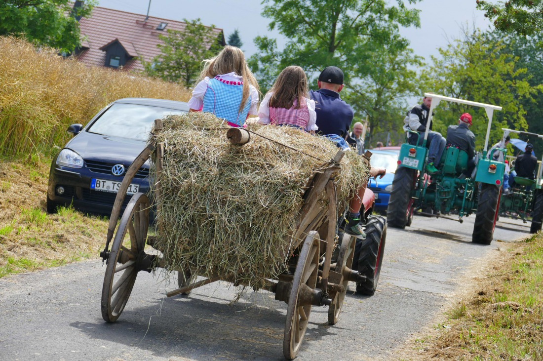 Foto: Martin Zehrer - Traktortreffen 2016 in Oberwappenöst<br />
Trotz Regen am Vormittag kamen an diesem Sonntag ca. 120 Oldtimer-Bulldogs und unzählige Besucher. Zum Mittag hin klarte das Wetter  