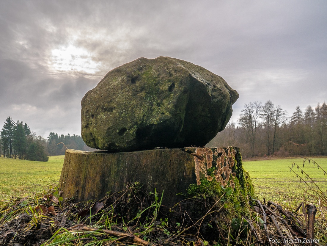 Foto: Martin Zehrer - Ein Stein thront auf einem Wurzelstock... Irgendwie unwirklich...<br />
<br />
Wandern um den Armesberg, 6. Januar 2018 