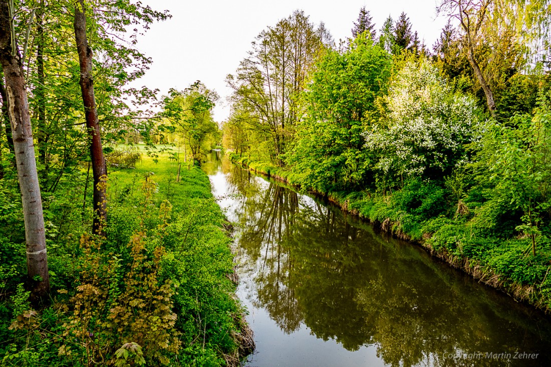 Foto: Martin Zehrer - Haidenaab und Erlgraben treffen sich hier. In Wolframshof bei Kastl findet sich eine feuchte Welt. Spiegelungen in den Abendstunden.  