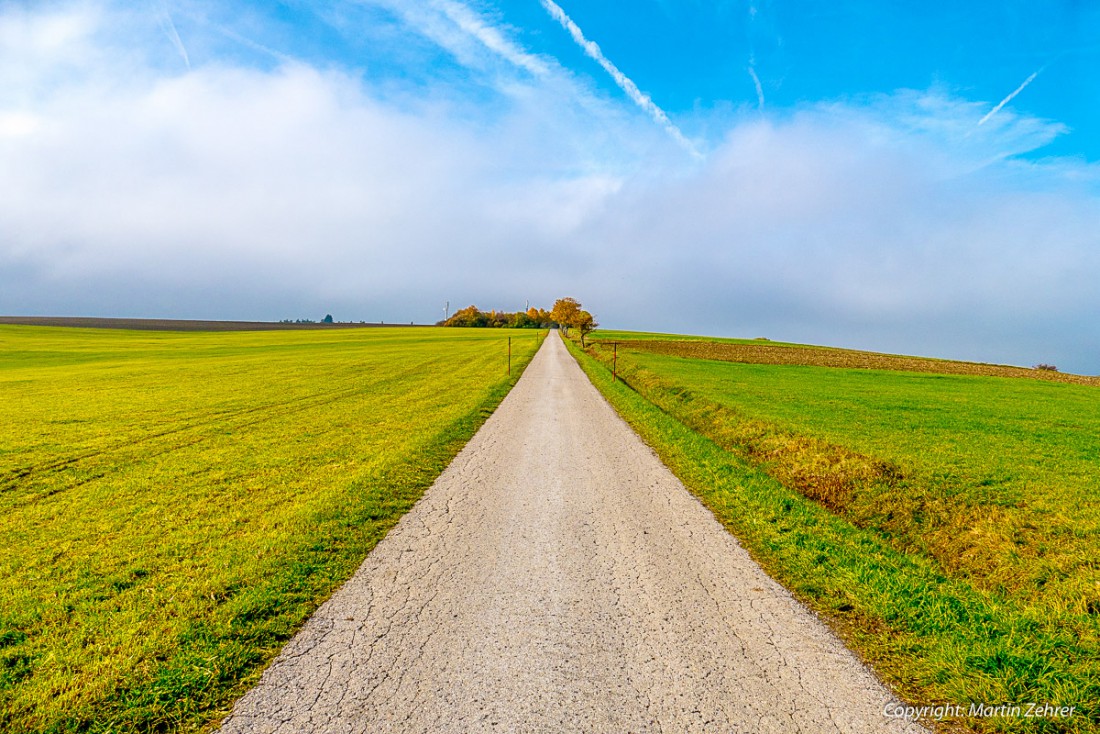 Foto: Martin Zehrer - Herbstwanderung 2015... Die Straße zum "Leifer-Kreitz" 