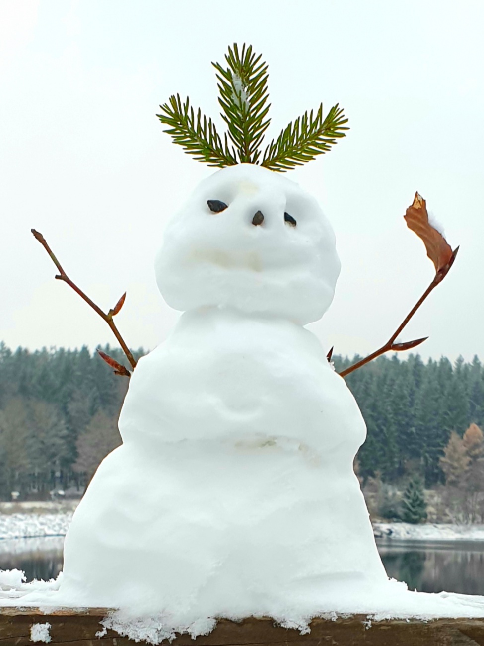 Foto: Martin Zehrer - Schatzis Meisterwerk... der Schneemann am Fichtelsee. 