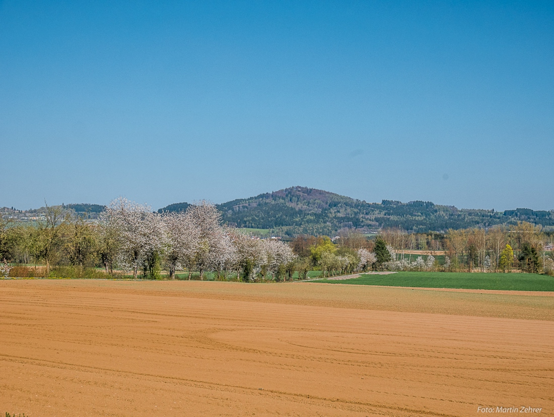 Foto: Martin Zehrer - Frühlings-Blick zum Armesberg... 19. April 2019 - Karfreitag... 