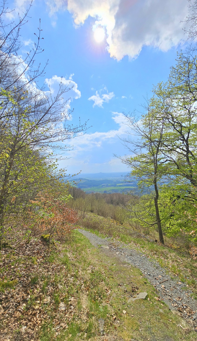 Droben, auf dem Armesberg:

Dieser Pfad führt hinterhalb der Kirche zum Aussichtspunkt.
