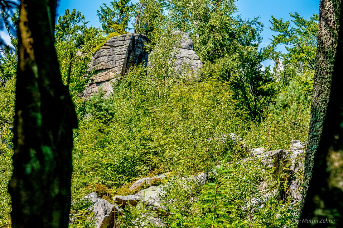 Foto: Martin Zehrer - Überall ragen große Felsen aus dem Waldboden.  