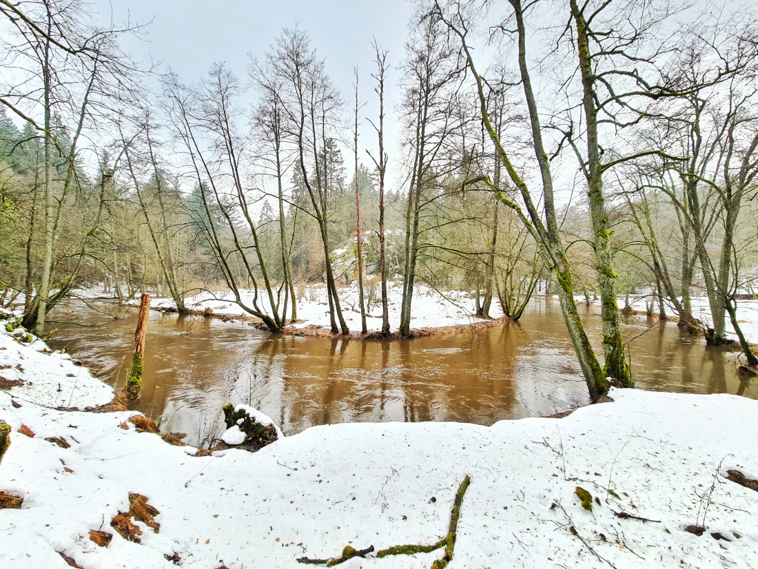 Foto: Jennifer Müller - Heute am 05.02.2021 unterwegs im Waldnaabtal 