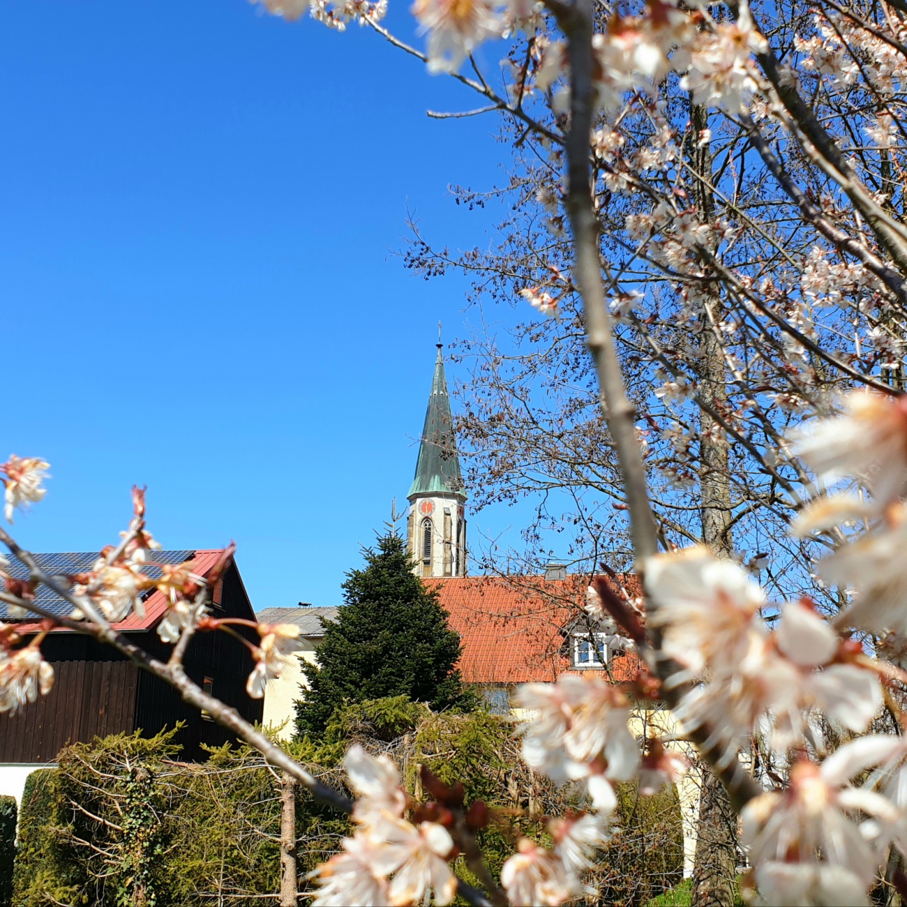 Foto: Martin Zehrer - Kemnath im Frühling... 