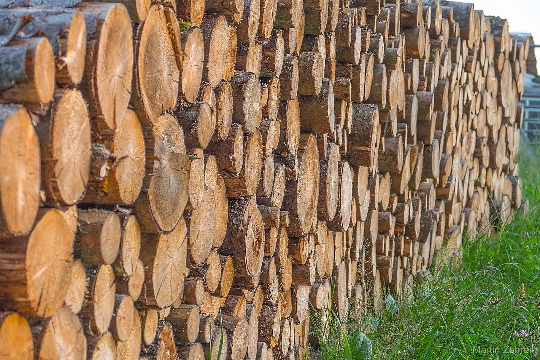 Foto: Martin Zehrer - Holzstoß... 