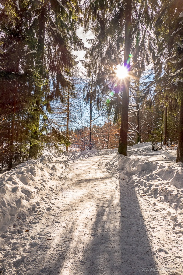 Foto: Martin Zehrer - Die Sonne strahlt durch den Winterwald am Fichtelsee... :-) 