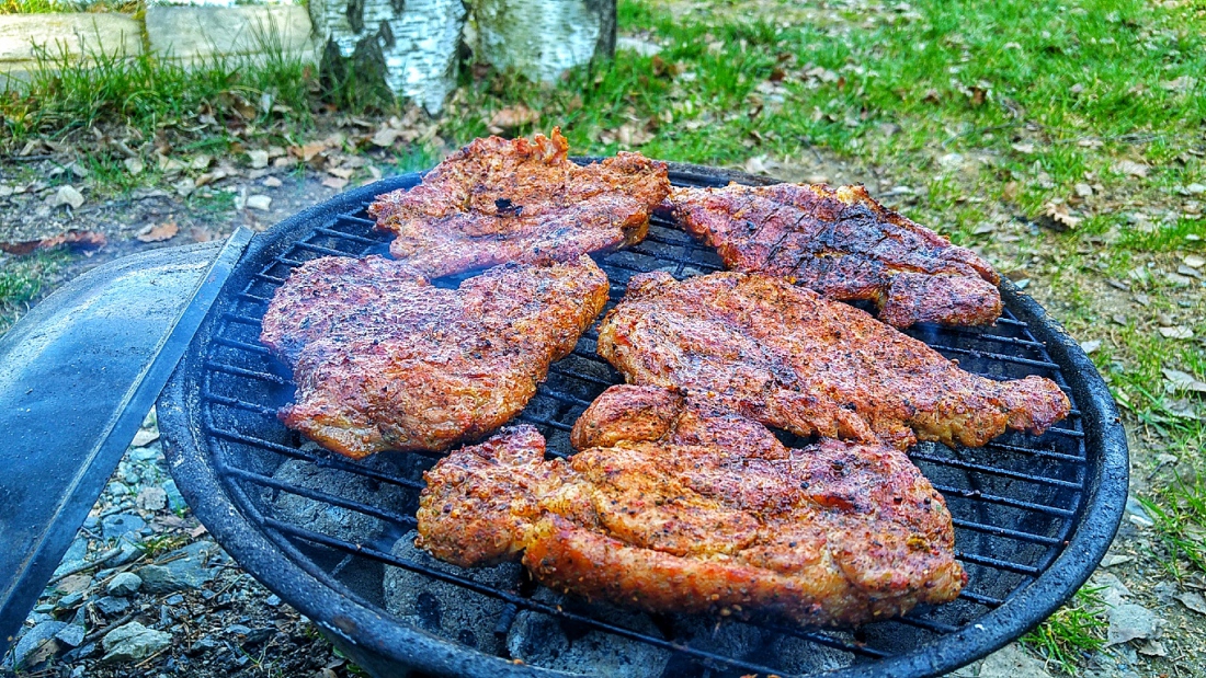 Foto: Martin Zehrer - 6. April 2019 - Es ist angerichtet und somit die Grill-Saison eröffnet. Wir hatten Sonnemschein mit kleinen Wolken, aber es war doch noch sehr frisch am Weiher. 