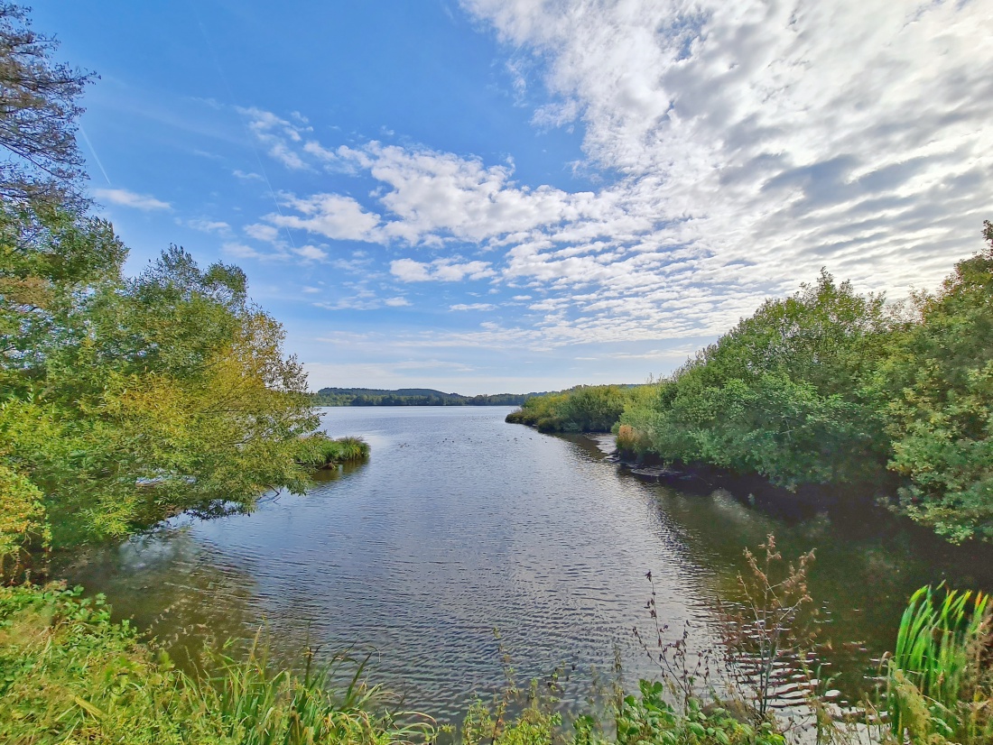 Foto: Jennifer Müller - Der Obersee (großer Rußweiher) in Eschenbach. Ein sehr sehenswertes Naturschutzgebiet in der Oberpfalz mit vielen verschiedenen Vogelarten und einer großartigen Landschaf 