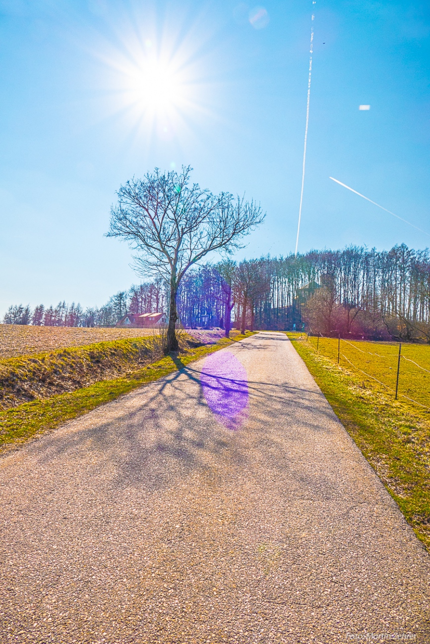 Foto: Martin Zehrer - Licht und wunderbare Schatten... :-)<br />
<br />
Samstag, 23. März 2019 - Entdecke den Armesberg!<br />
<br />
Das Wetter war einmalig. Angenehme Wärme, strahlende Sonne, die Feldlerchen fl 