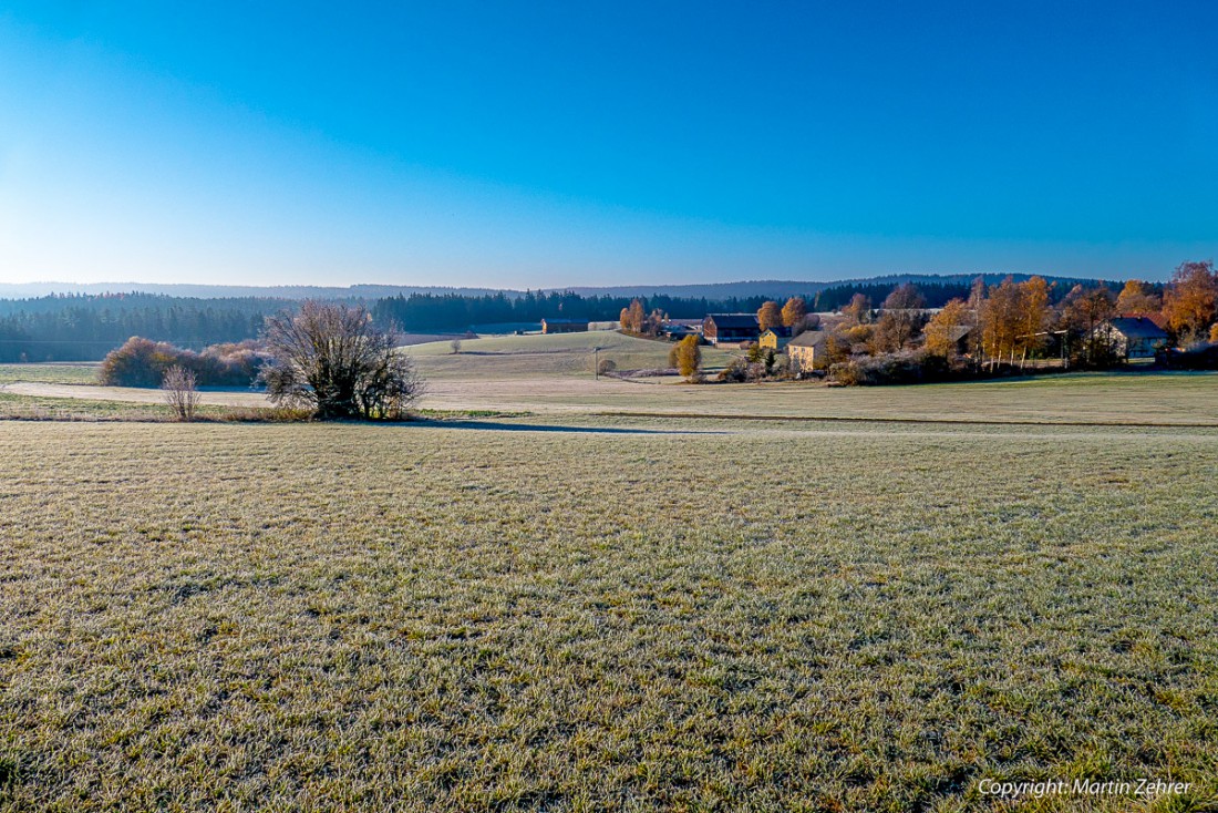 Foto: Martin Zehrer - Heute, am 3. November 2015, in aller Früh... Die Wiesen waren angefroren, das Wetter wird gigantisch werden... 