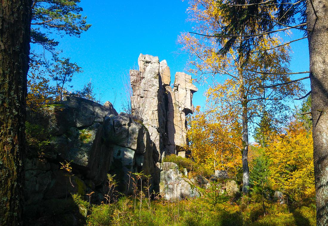 Foto: Martin Zehrer - Vormittags-Wanderung in den Steinwald. Der goldene Herbst ist mit ca. 22 Grad Temperatur, blauem Himmel und kräftigen Sonnenschein zurück...<br />
<br />
13.10.2019 