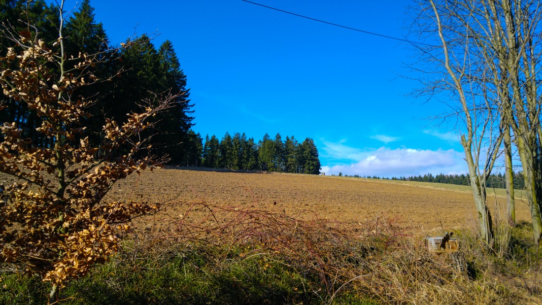 Foto: Martin Zehrer - Heimat-Rausch :-) 