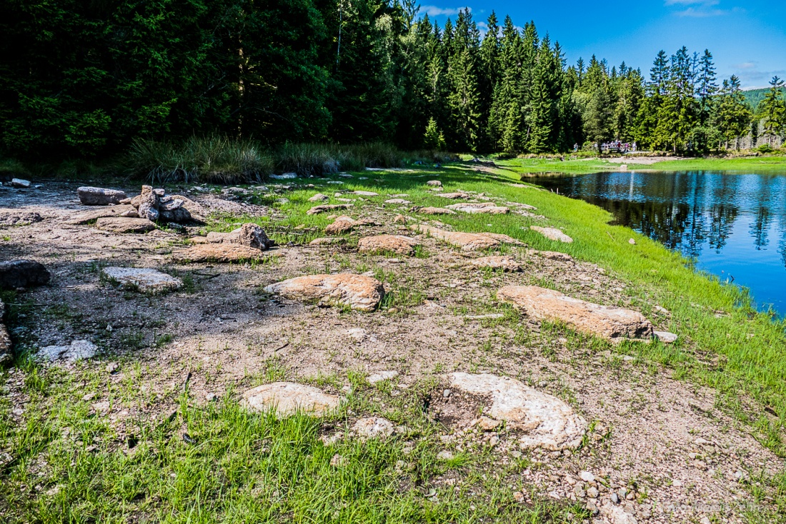 Foto: Martin Zehrer - Wenn sich das Wasser zurückzieht, erscheint der sonst verdeckte Boden des Fichtelsees... 