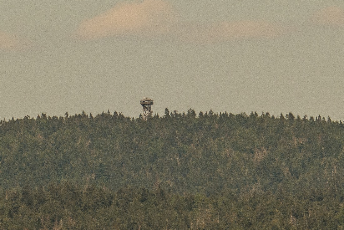 Foto: Martin Zehrer - Der Oberpfalzturm über dem Steinwald, vom Armesberg aus fotografiert.<br />
Zu diesem Turm führt auch eine schöne Route durch den Steinwald. Der Oberpfalzturm ist gut begehbar 