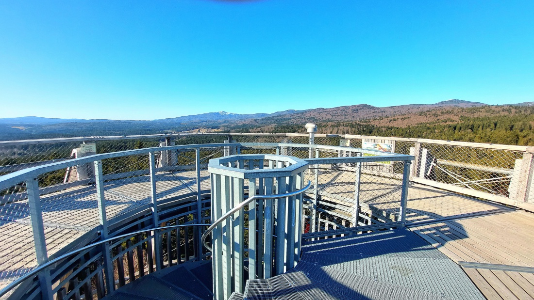 Die Aussichts-Plattform des Baum-Eis bei Neuschönau. 