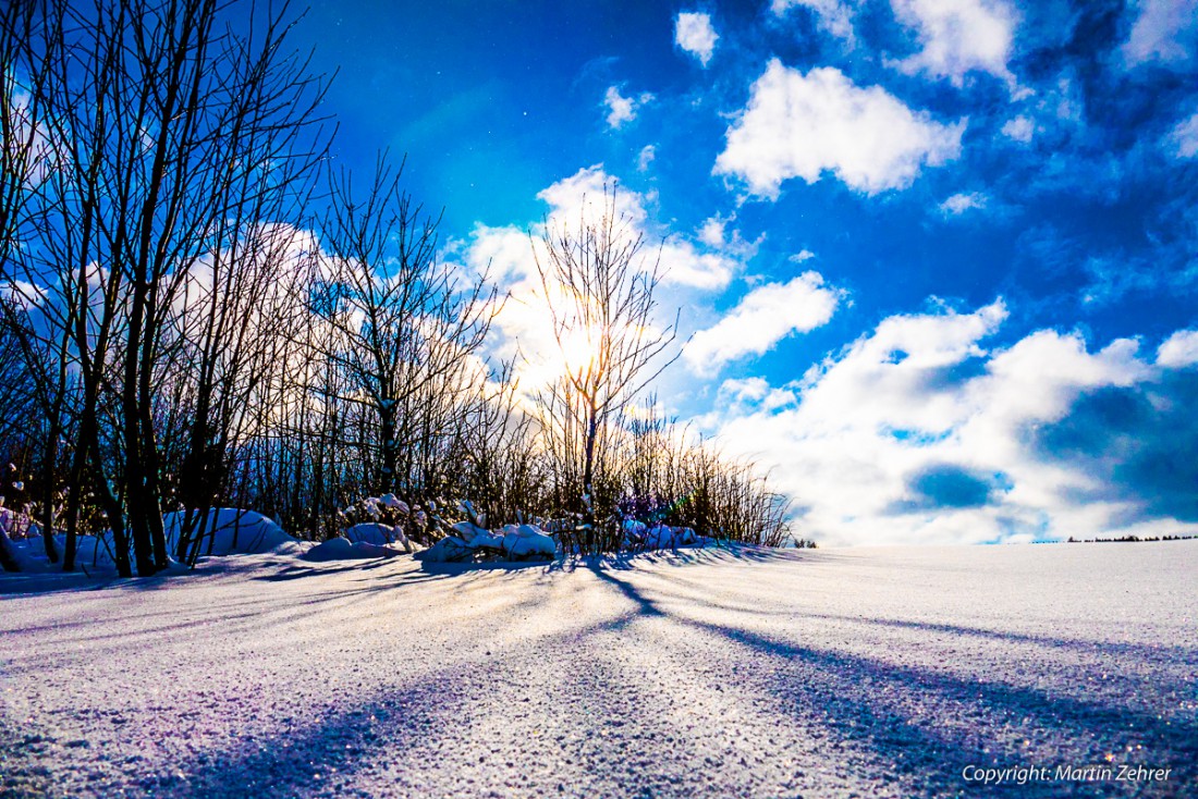 Foto: Martin Zehrer - Sonnen-Baum-Winter-Schnee-Schatten :-D 
