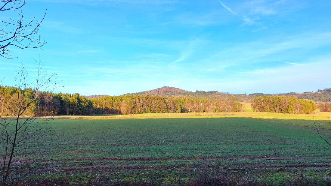 Foto: Martin Zehrer - Spazier-Runde am späten Nachmittag.  