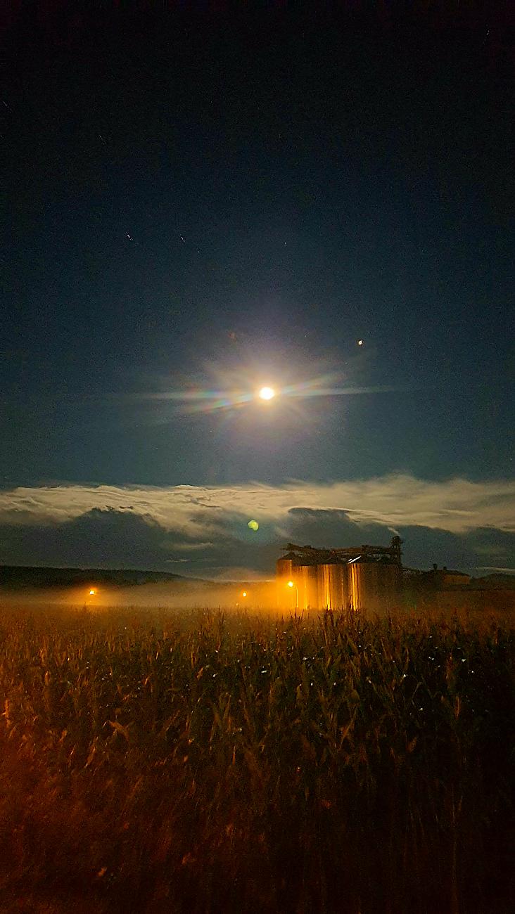Foto: Martin Zehrer - Nachts, wenn der Himmel klar wird...<br />
<br />
Immenreuth, 3.10.2020 