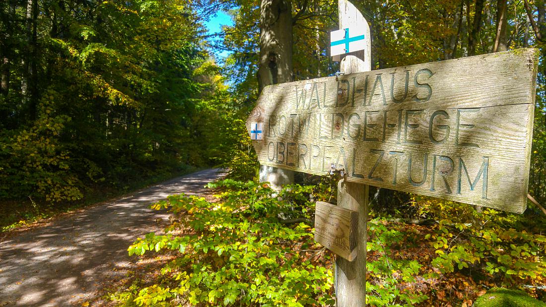 Foto: Martin Zehrer - Vormittags-Wanderung in den Steinwald. Der goldene Herbst ist mit ca. 22 Grad Temperatur, blauem Himmel und kräftigen Sonnenschein zurück...<br />
<br />
13.10.2019 