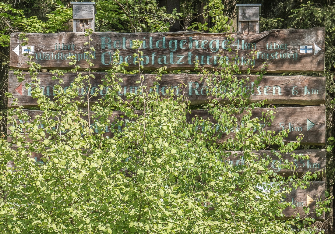 Foto: Martin Zehrer - Nur wenige Meter nach dem man den Parkplatz Pfaben verlassen hat, findet man dieses große Schild, bestehend aus Wegweisern.<br />
<br />
Wir wollen zum Oberpfalzturm, oben auf der  