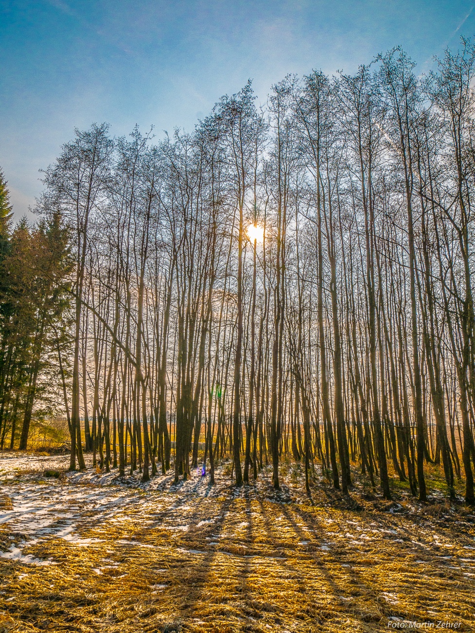 Foto: Martin Zehrer - Schatten-Spiel... unterwegs mit dem Rad zwischen Kulmain und Lenau. Frühling, 24. März 2018 