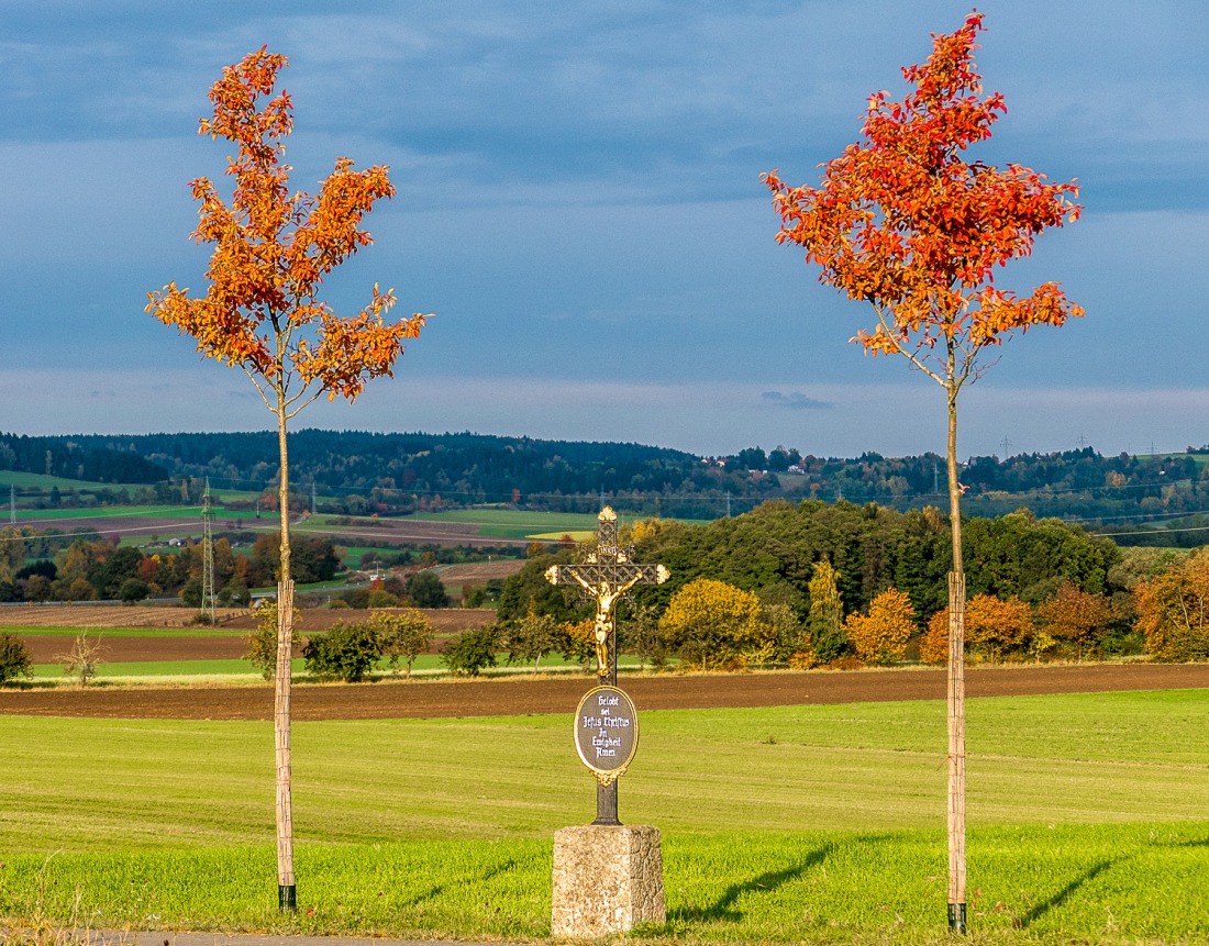 Foto: Martin Zehrer - Einmalige Herbstfarben an den kemnathern Kellern... 