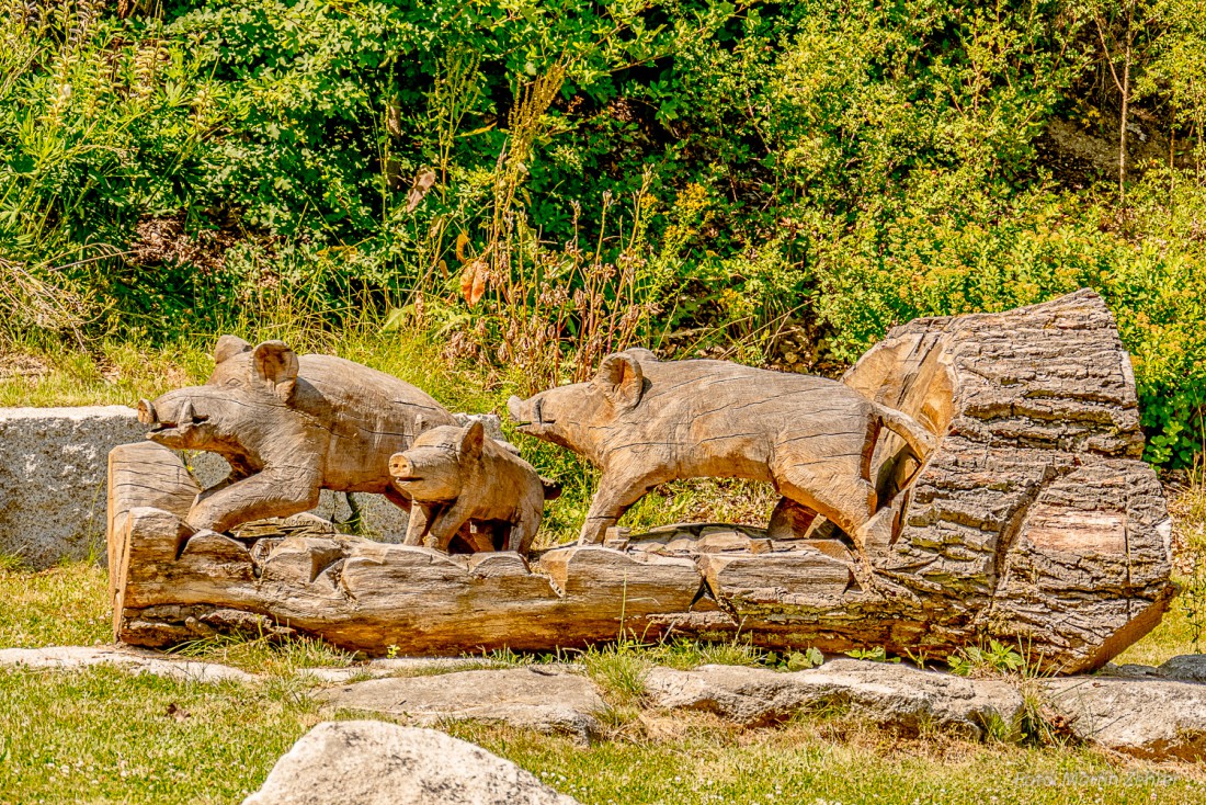 Foto: Martin Zehrer - Diese Holz-Wildsäue stehen am Waldesrand beim Spielplatz am Steinwald. 