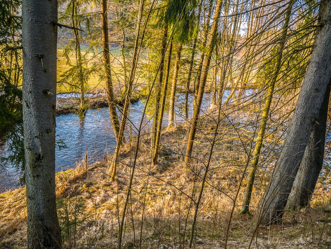 Foto: Martin Zehrer - Entlang der Fichtelnaab führt der Radweg von Neusorg nach Erbendorf. Diese Stelle befindet sich zwischen Riglarsreuth und Trevesen. Die Sonne steht schon tief am Horizont 