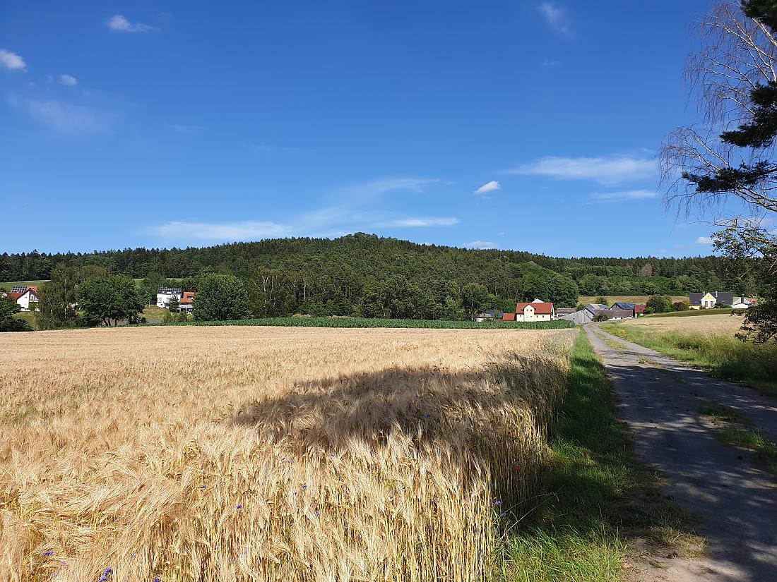 Foto: Martin Zehrer - 4. Juli 2020<br />
<br />
Altensteinreuth am Fuße des Armesbergs... 