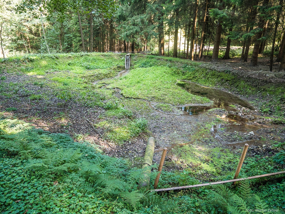 Foto: Martin Zehrer - Opfer des heißen und trockenen Sommers?! Ein leerer Weiher im Helmeswald, unterhalb von Godas...<br />
<br />
Früher, als wir noch Kinder waren, brachen wir hier Eisplatten raus un 