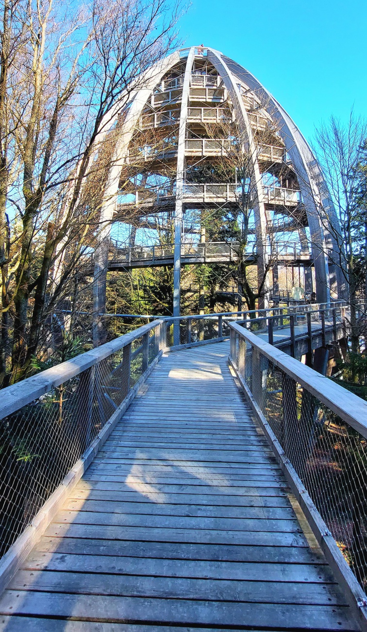 Waldwipfelweg und Baumei in Neuschoenau

Der Waldwipfelweg in Neuschoenau im Nationalpark Bayerischer Wald ist ein besonderes Naturerlebnis fuer Besucher jeden Alters. Auf einer Laenge von rund 1300 Metern fuehrt ein barrierefreier Holzweg langsam durch die Baumkronen des Bergmischwaldes. In einer Höhe von bis zu 25 Metern koennen Besucher den Wald aus einer ganz neuen Perspektive erleben.

Ein besonderes Highlight des Baumwipfelpfades ist das sogenannte Baumei. Der beeindruckende Aussichtsturm hat die Form eines riesigen Eis und ist ein architektonisches Wahrzeichen des Waldwipfelweges. Die Konstruktion aus Holz und Stahl erreicht eine Hoehe von etwa 44 Metern und bildet den höchsten Punkt des Weges. Ueber eine spiralförmige Rampe gelangen Besucher Schritt für Schritt bis zur obersten Plattform.

Von dort bietet sich ein weiter Blick über den Nationalpark Bayerischer Wald und die umliegenden Wälder. Bei klarem Wetter reicht die Aussicht sogar bis zu den Alpen. Entlang des Weges informieren verschiedene Tafeln ueber Tiere Pflanzen und die Entwicklung des Waldes.

Der Waldwipfelweg ist das ganze Jahr ueber geöffnet und eignet sich ideal fuer Familien Naturfreunde und Fotografen. Durch die barrierefreie Gestaltung koennen auch Kinderwagen und Rollstühle den gesamten Weg bis zum Baumei problemlos nutzen.

Der Besuch des Waldwipfelweges in Neuschönau verbindet Natur Wissen und beeindruckende Ausblicke und ist ein unvergessliches Erlebnis im Bayerischen Wald.